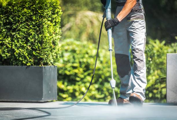 Best Animal Enclosure Cleaning  in Winters, TX